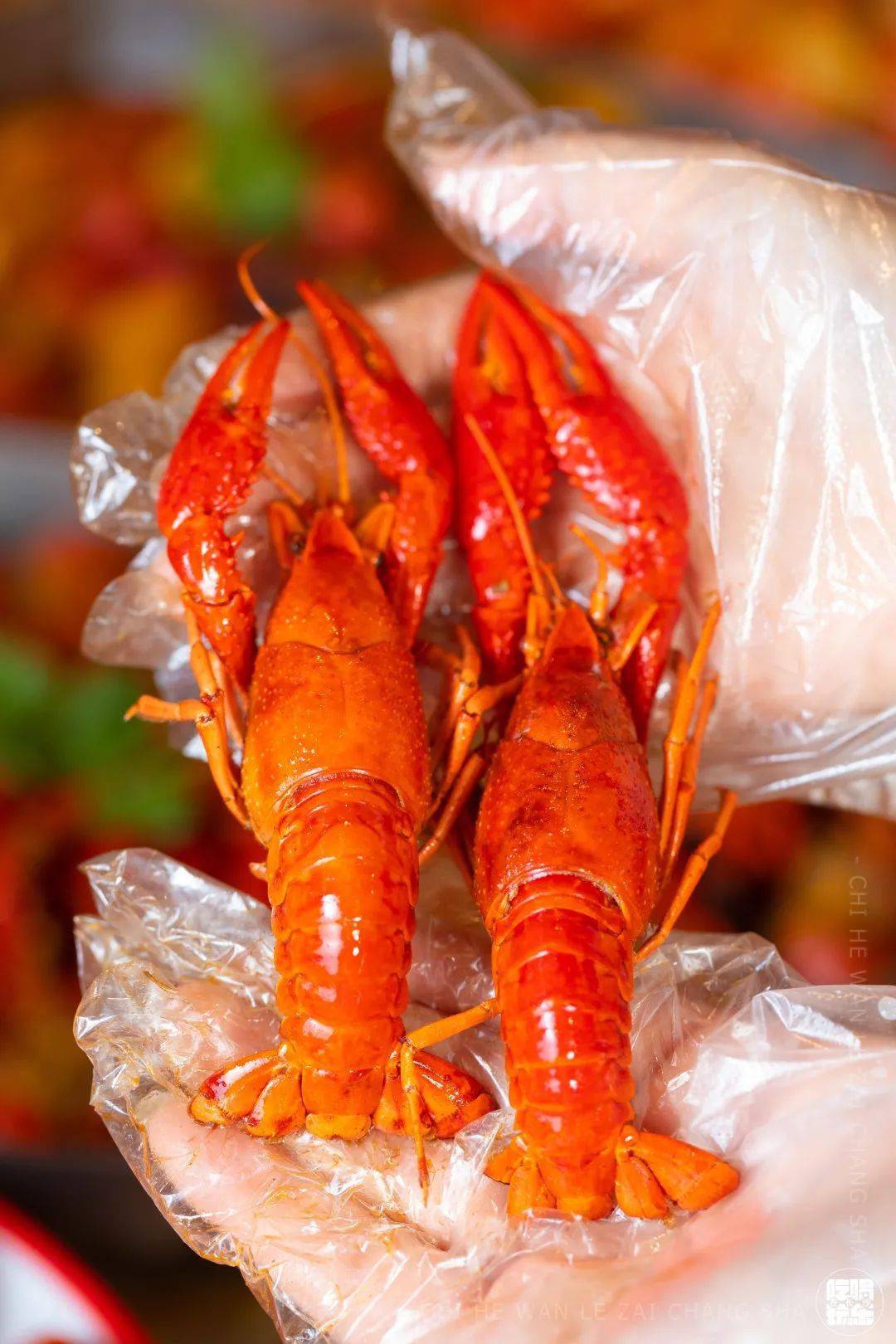 高能预警长沙人排队都要来吃的小龙虾都被这6家店承包了