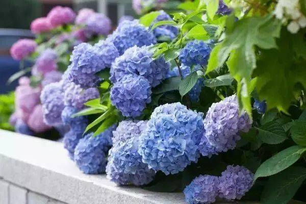 91c97f5512aa46cd8d36c8c899024a3b.jpeg