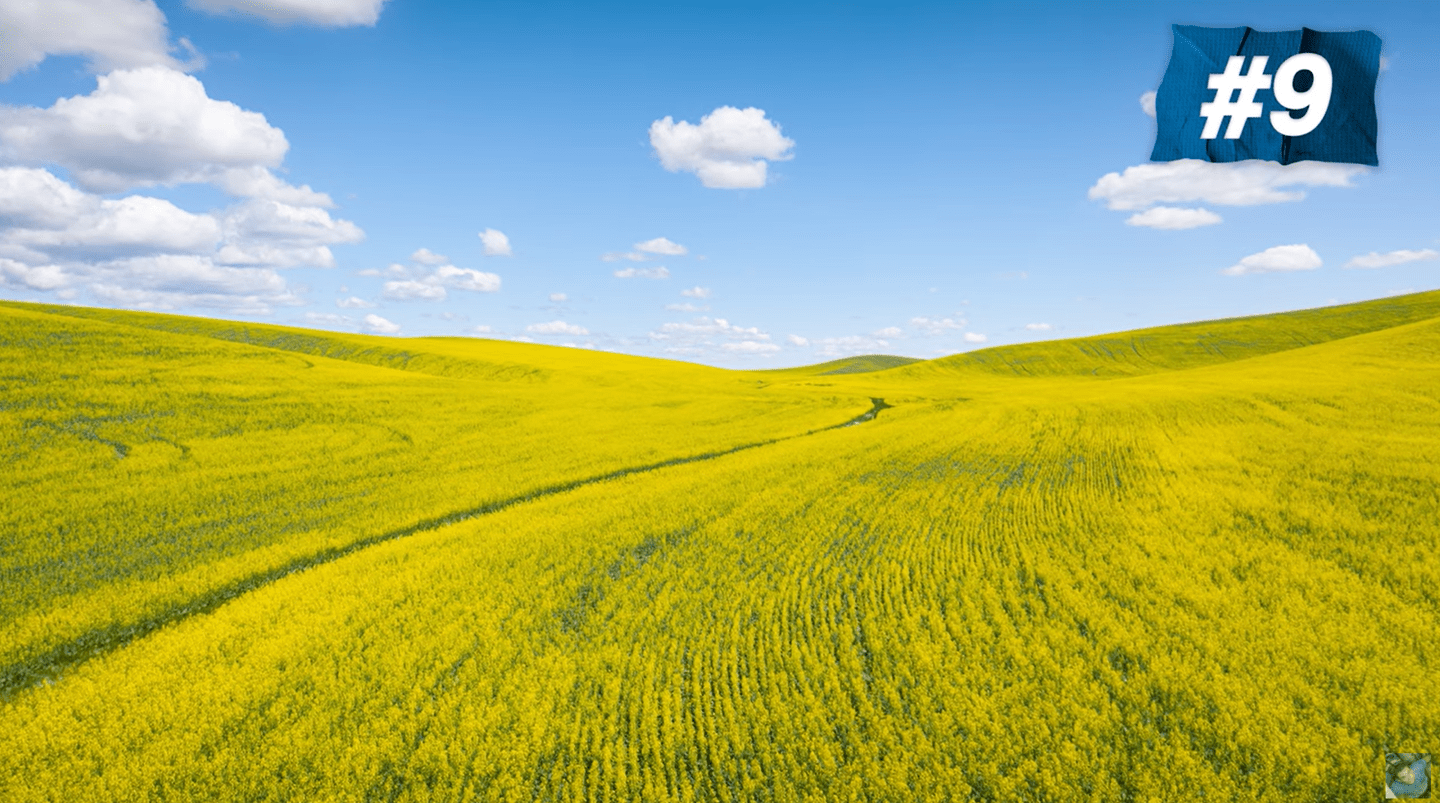 三男子重造微软 Windows XP 经典壁纸，“蓝天白云绿草”依旧_Bliss