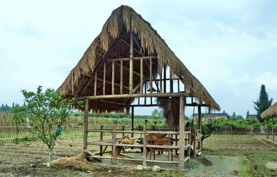 这样的农家小院,你向往吗