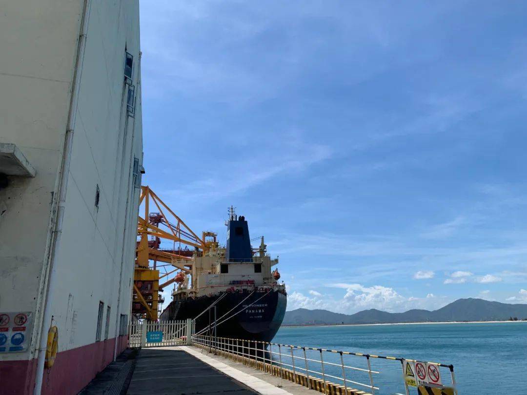 参与社会实践,感受科技力量 | 小学部师生参观红海湾发电厂_刘 莹