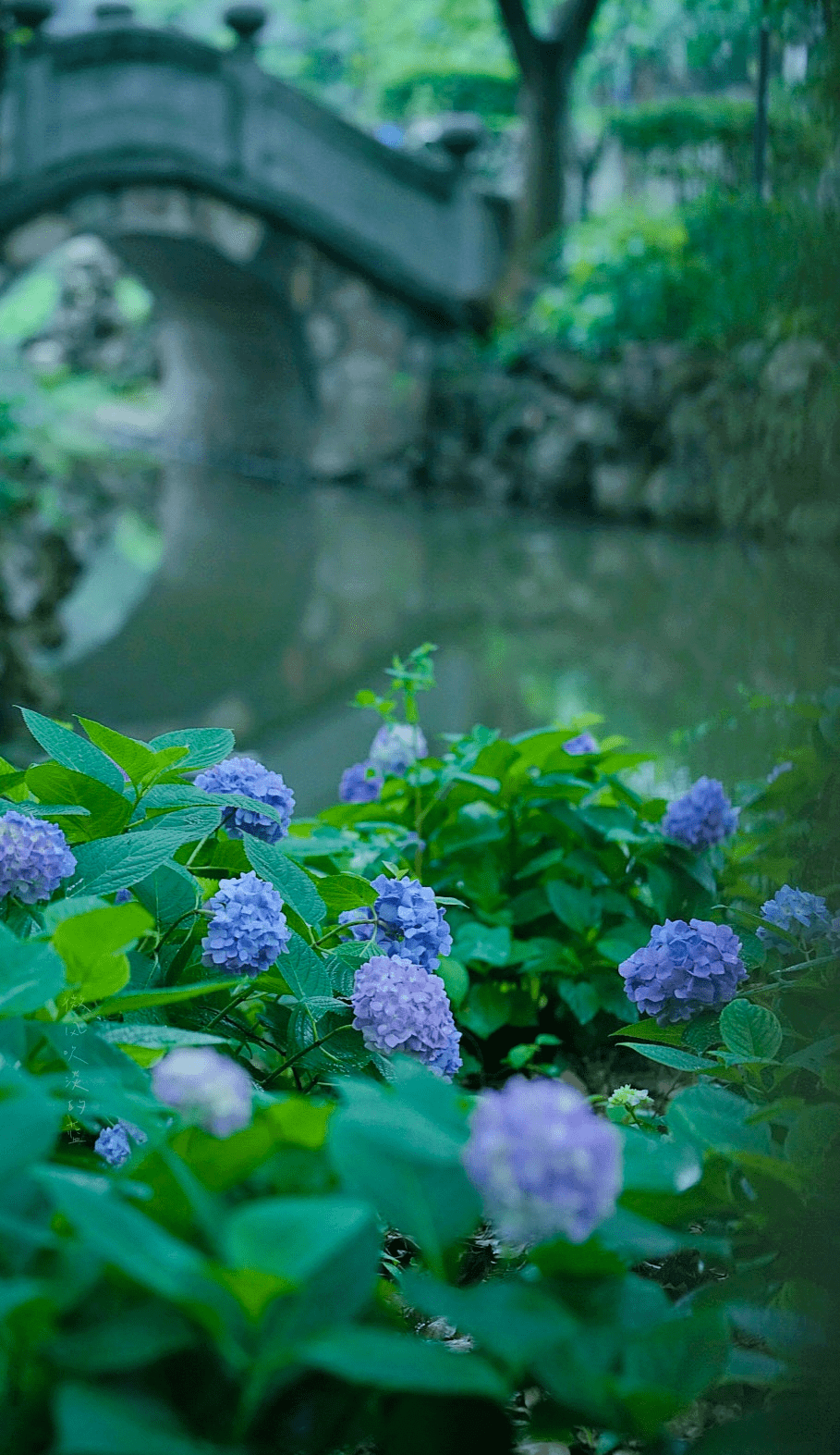 清赏那些关于夏天的雅称你知道多少