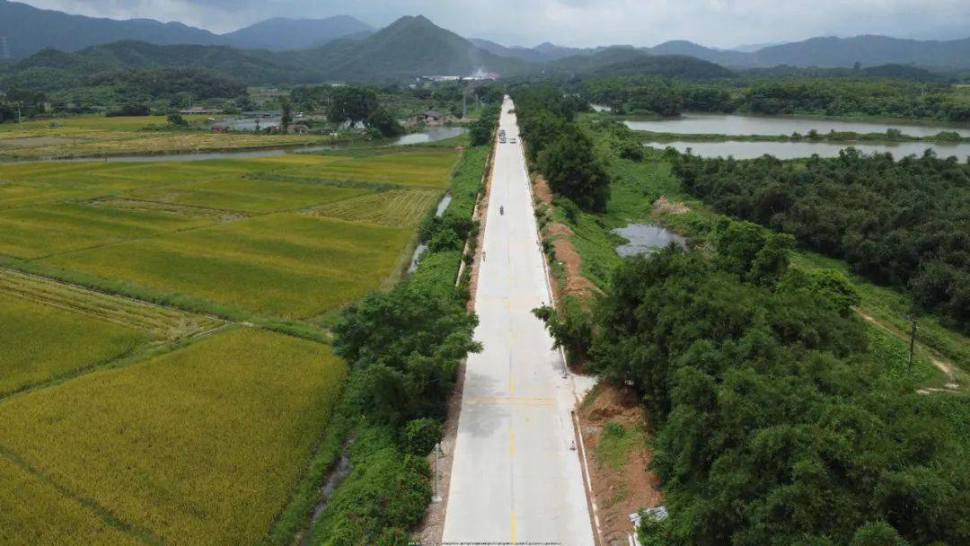 台山去开平又一条快速路全程全长约56公里时速80公里