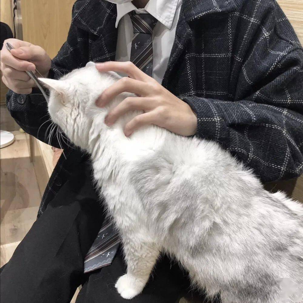 头像算是个半有趣的人