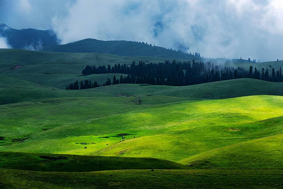 新疆尼勒克县阿克塔斯牧场