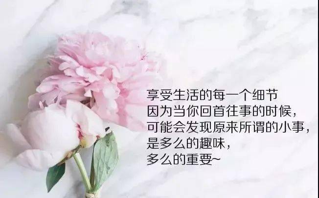 2f3bc13902114fabb36c0242a01f5455.jpeg