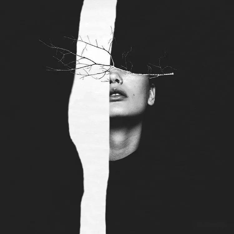 用摄影拼贴出意想不到的诗情画意