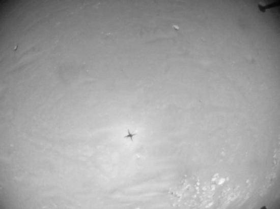 团队|“机智”号直升机完成最具挑战火星飞行 飞出约625米