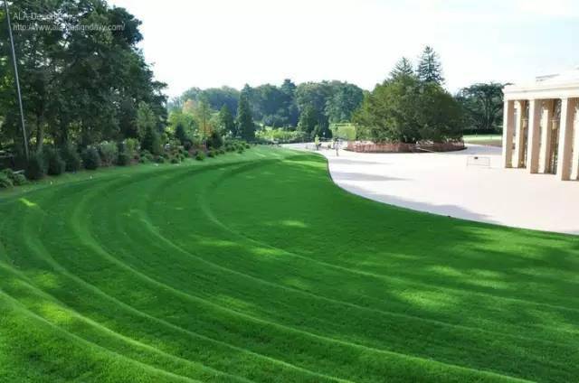 草坪微地形心动不止一点点