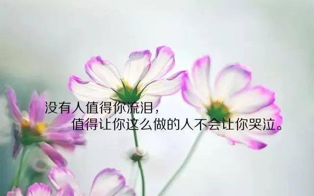 下辈子下一定遇见曲谱_下辈子不一定遇见图片(2)