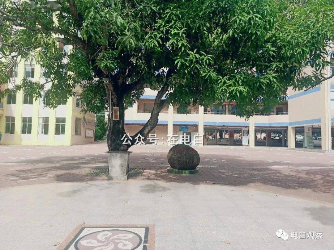 电白水东中学青春里永不老去的记忆