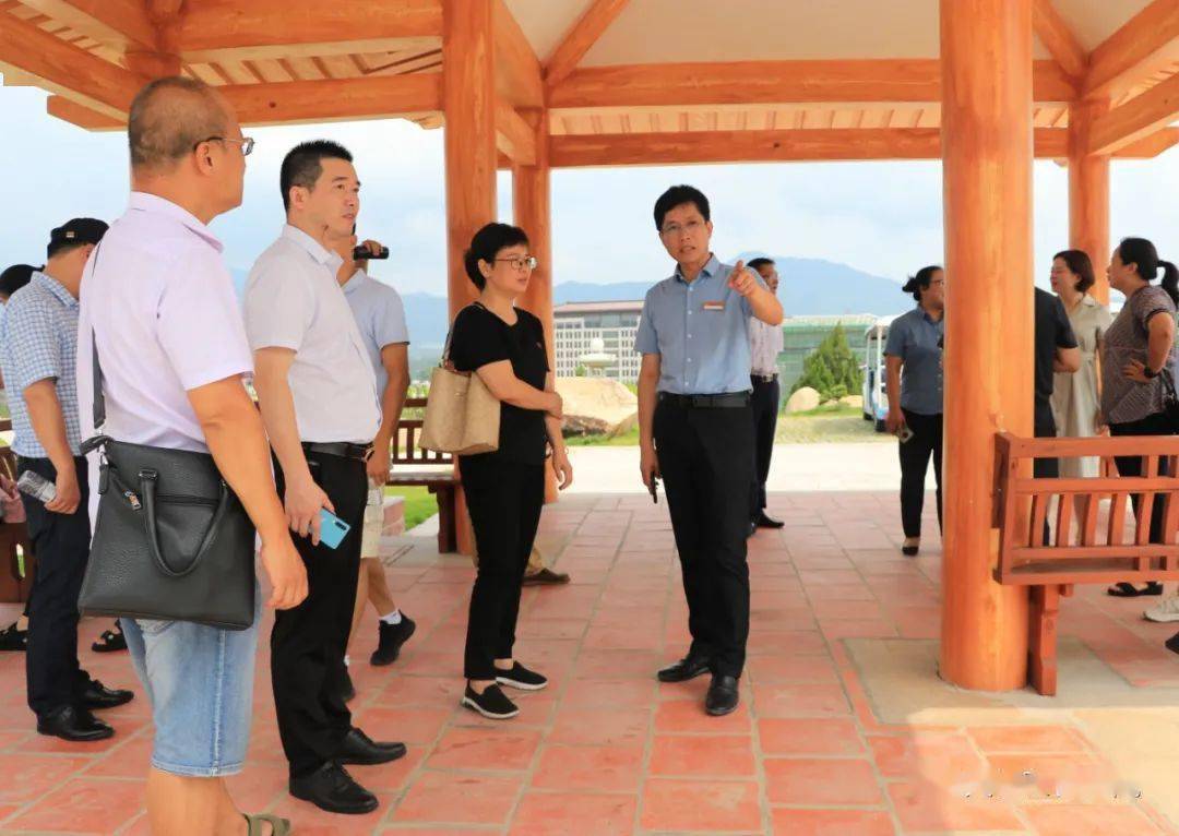 7月6日,民革漳州市委会专职副主委林丽君率调研组一行在漳浦县医保局