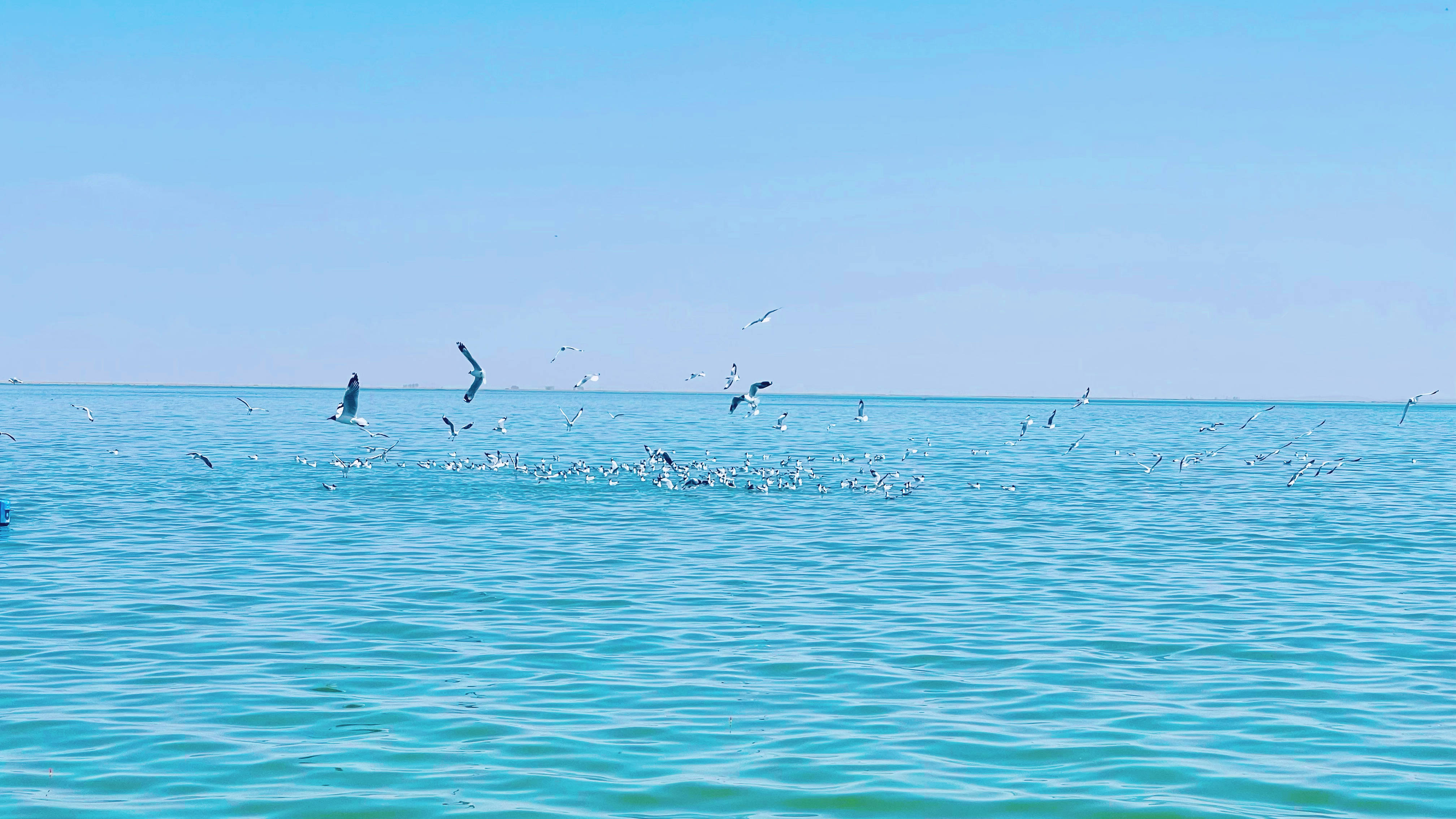 触摸蓝天拥抱大地青甘大环线记录