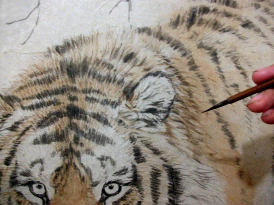 老虎的画法皮毛图片