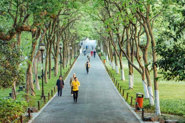 睡觉时间|小暑至盛夏始，这些食物清凉消暑