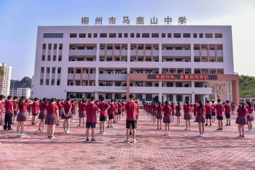 柳州市马鹿山小学图片