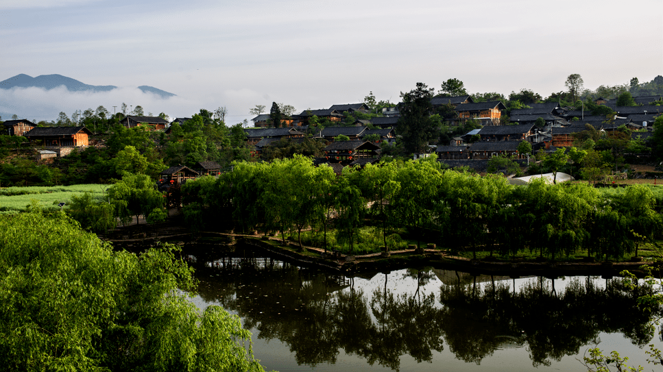 视界| 来务川 观美丽乡村_丰乐镇
