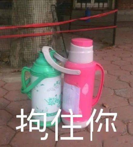 赠品|一到夏天，身上的毛毛就开始疯狂外露……
