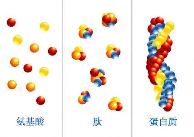 Before|秘籍 | 从滤镜美人到生图惊人，21天，拿捏了