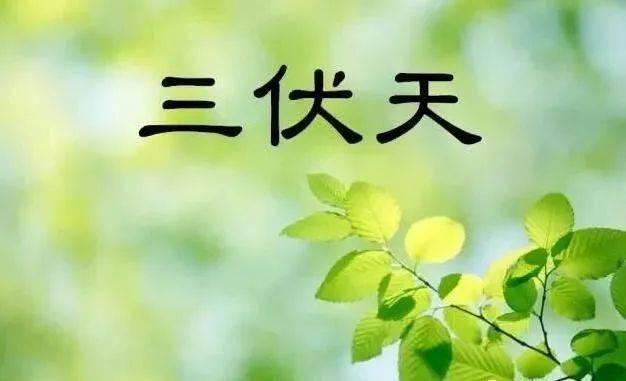 7fa3cfdd500f4ccd89331e1cb100c7d9.jpeg