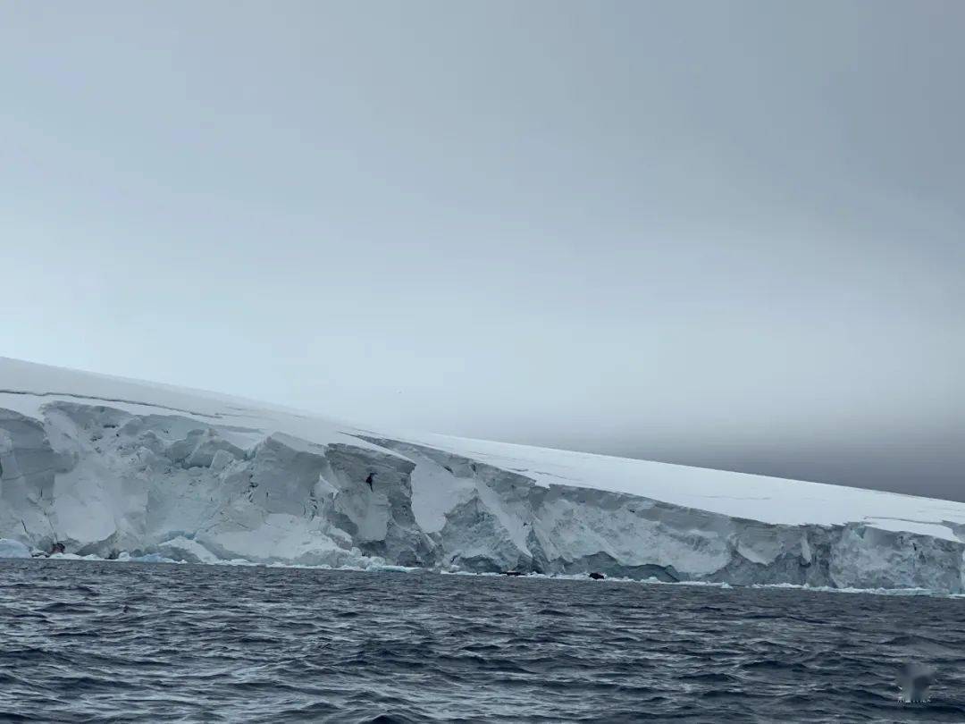 南极洲象岛图片