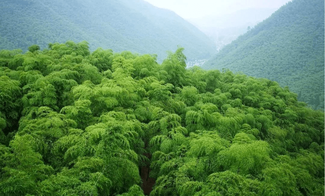 夏日耍事推荐 