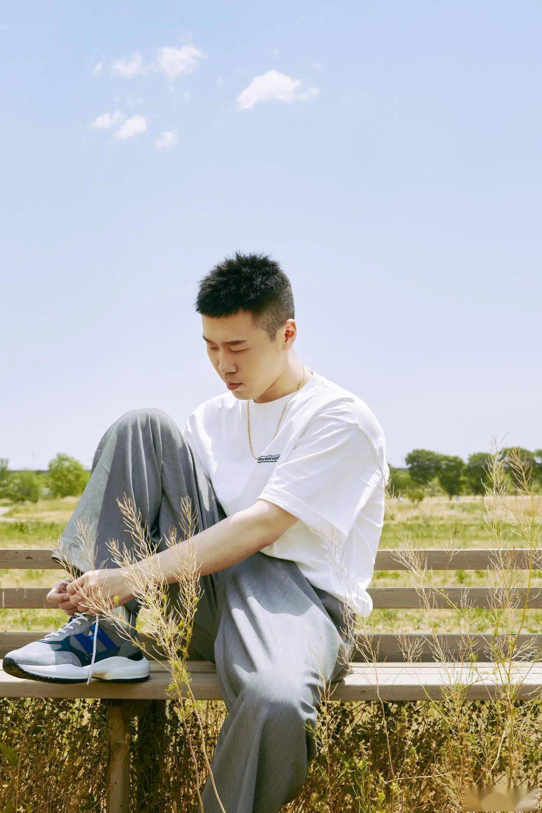 让我们一同沉浸在杨九郎的夏日幻想