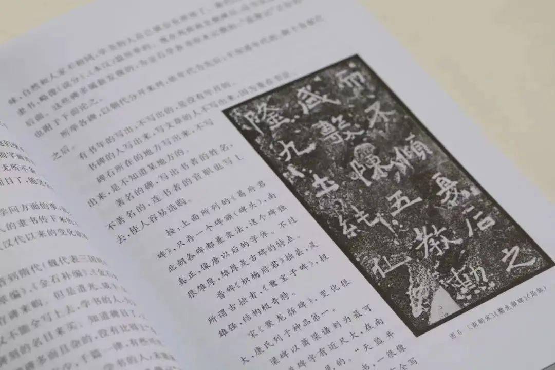 成语务什么陈言_陈白露陈言(2)