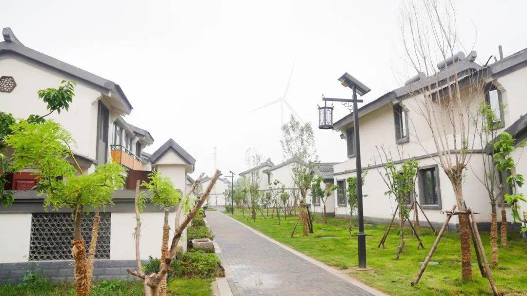 省委驻淮阴区帮扶工作队 | "为村民打造一支带不走的帮扶队"_三树镇