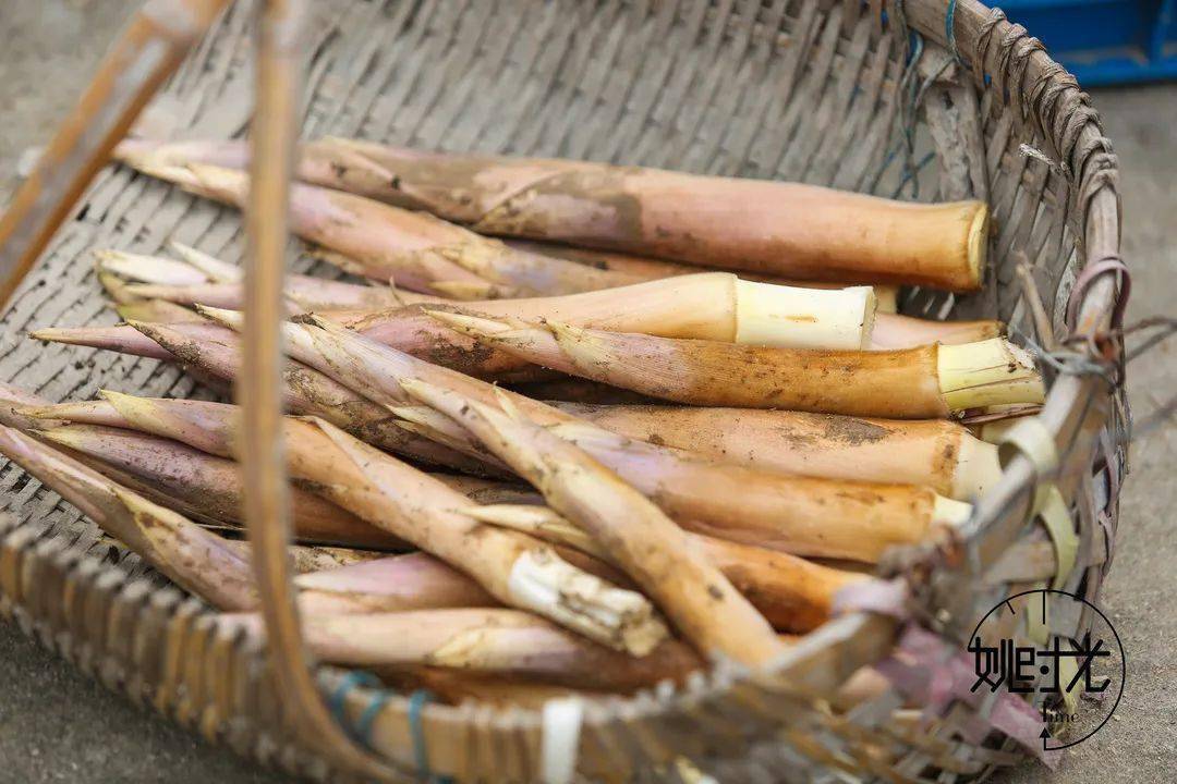 只见一筐筐鞭笋一根根整齐摆放在篮子里,旁边一位老奶奶正在用刀切着