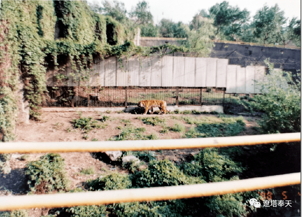 别了小河沿别了回不去的岁月
