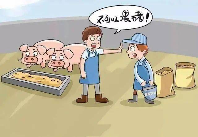 致广大生猪养殖场户的一封信卖猪须申报检疫大佑吉冠名