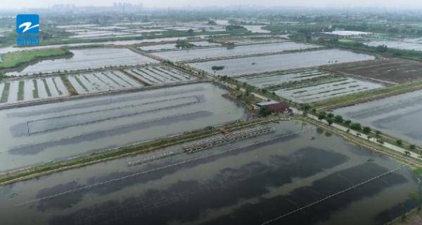 浙江有多少人口_太厉害了,浙江 这下要出名了