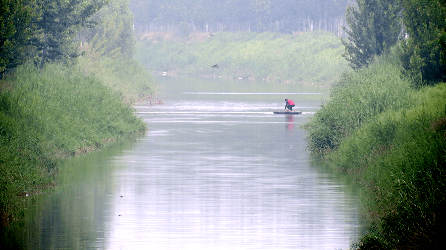 子牙河河间段昔日美景今重现!
