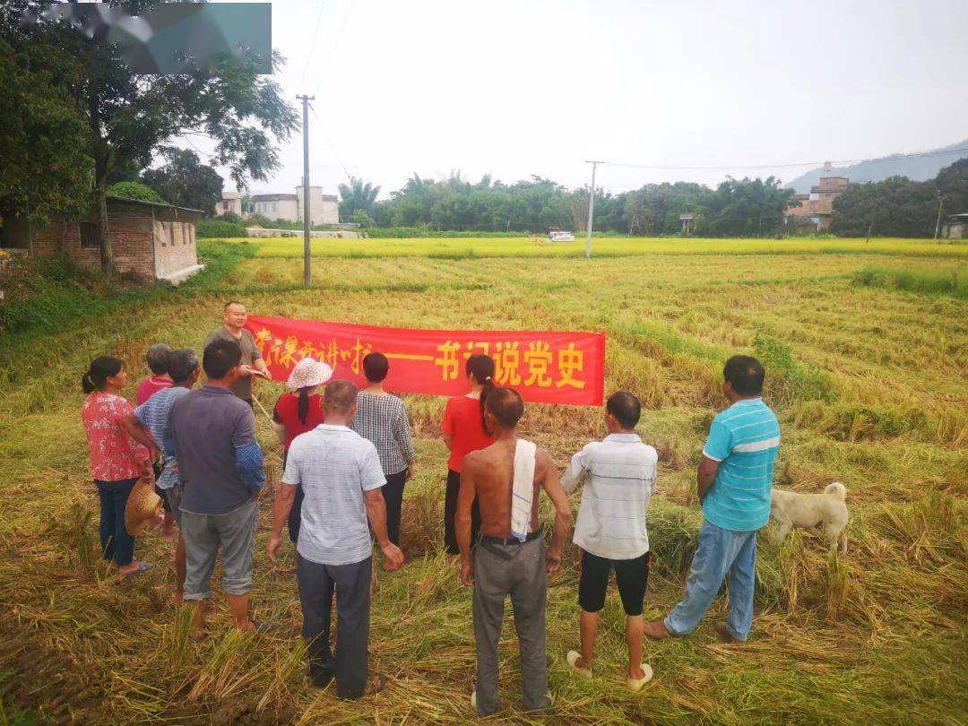 最重要的是,收工后大家还就地在稻田边上一起聆听村支书讲党课,真是太