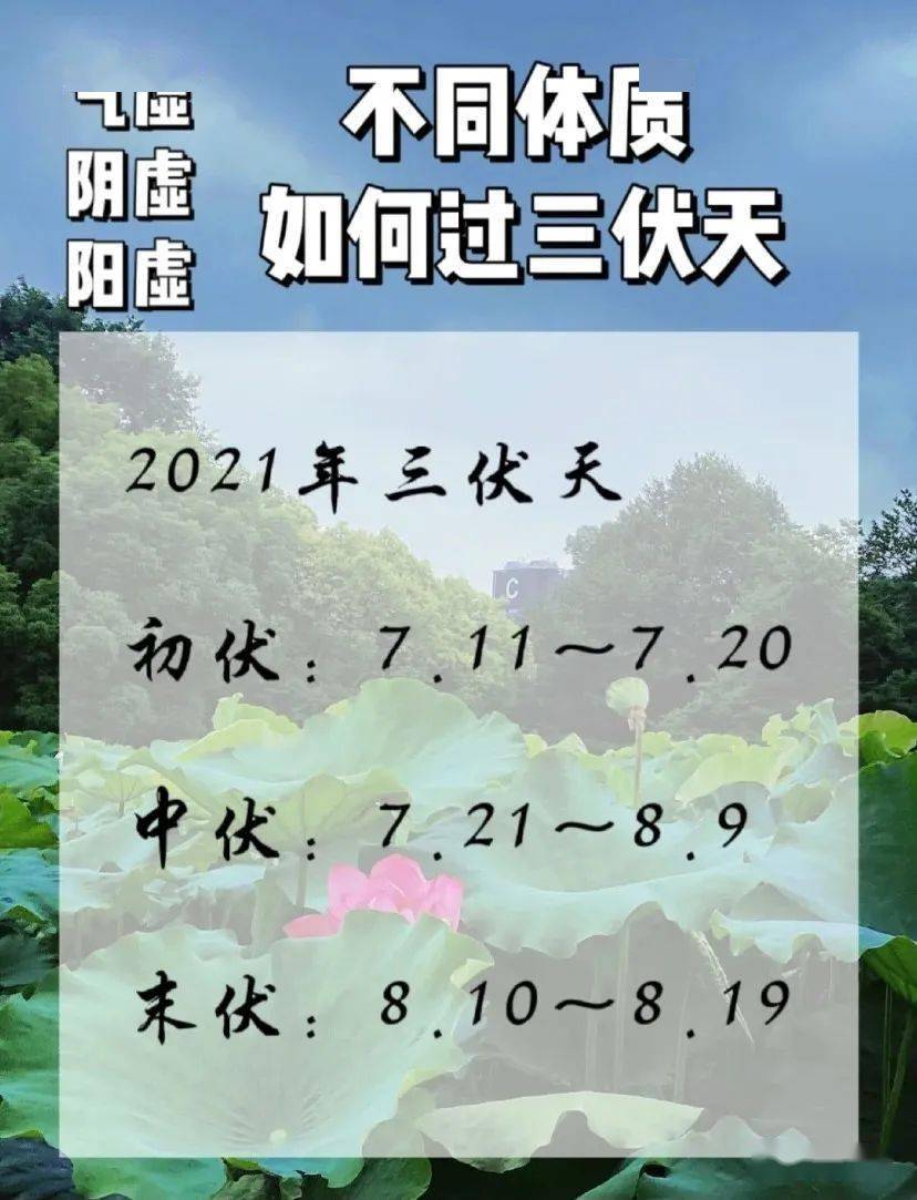 冷在三九热在三伏三伏天汗蒸能达到哪些养生功效