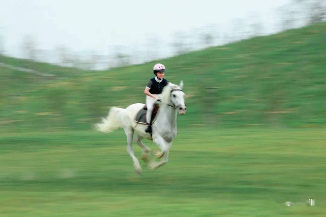 網紅女副局長亳州林擁城馬術基地邀你來策馬