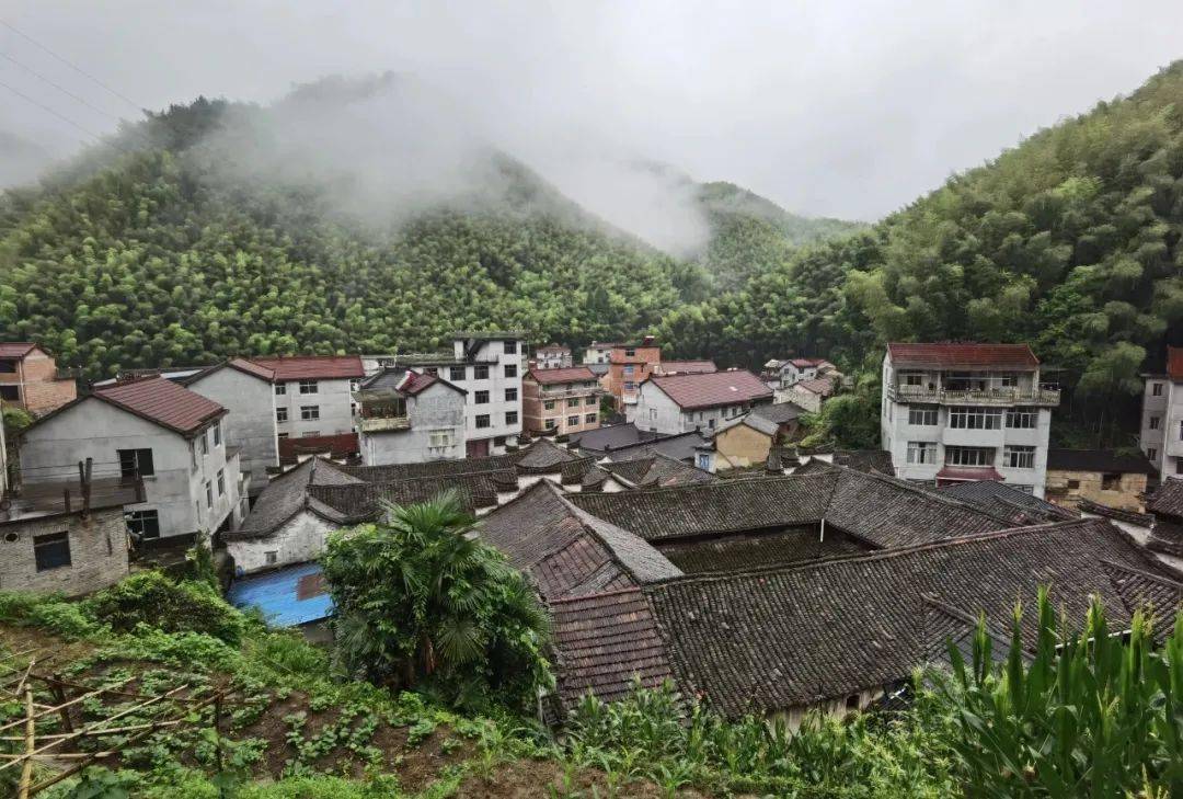 丽水日报整版刊登丨缙云新建镇鱼川村历史上有十八家造纸铺和四十多位