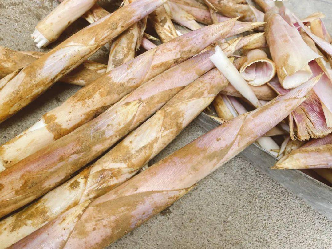 这个季节正是吃鞭笋的季节,鞭笋相对于冬笋与毛笋涩味少了很多.