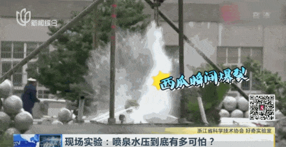 591_303gif 动态图 动图