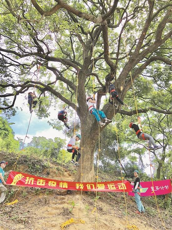 家长|“二孩家庭出游”今年迎“爆点”