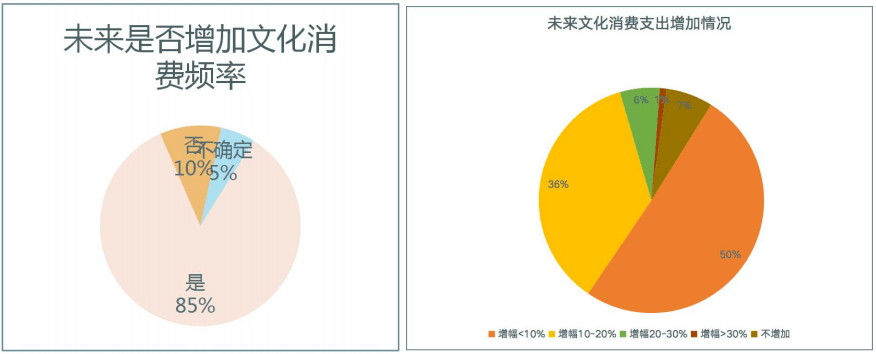 张佳仪2021年上半年全国文化消费数据报告