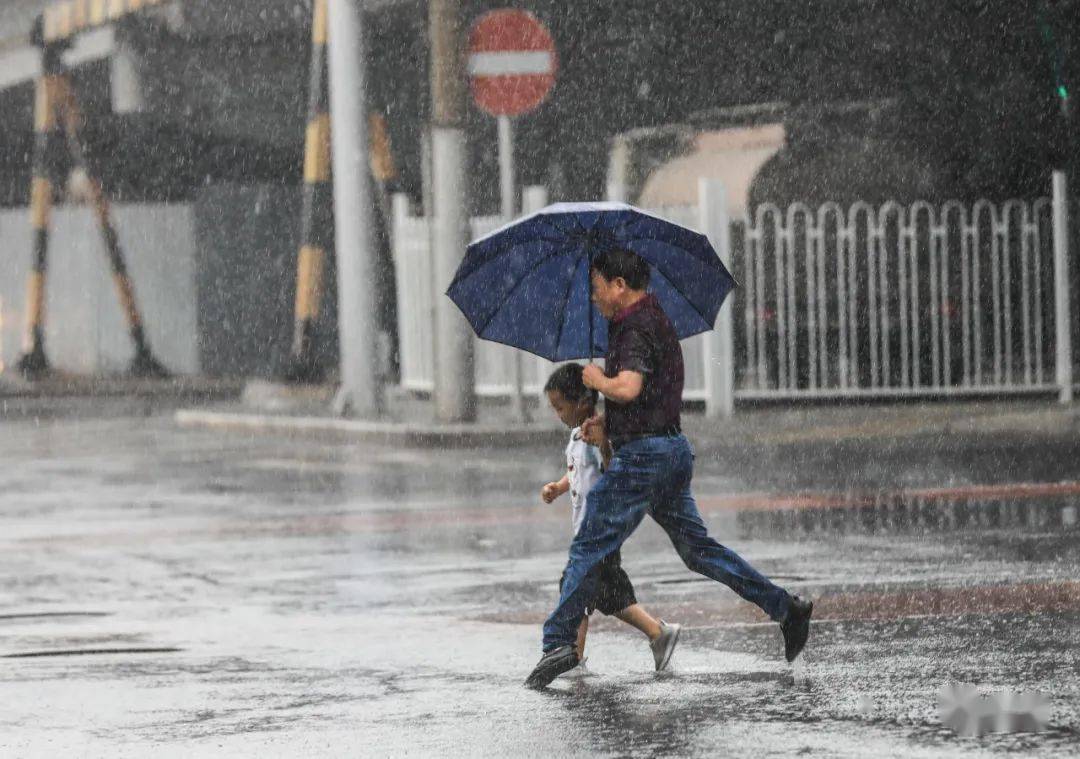 7月12日,看丹桥,市民行走在雨中摄影 / 新京报记者浦峰