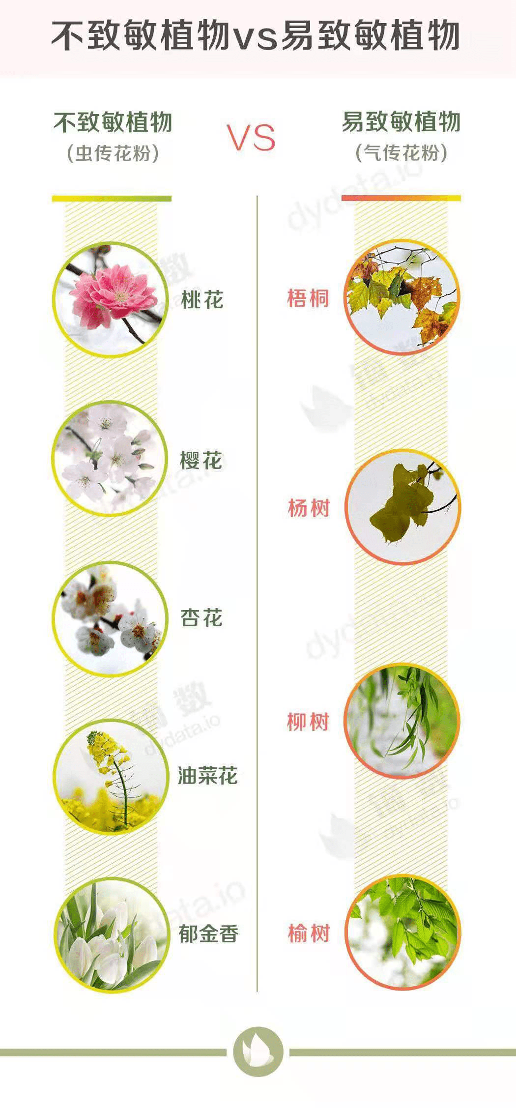 e5a313f7b70b423eb0c065e06a97649a.png
