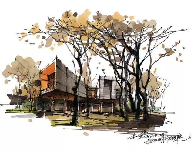 再次观摩杨健老师手绘