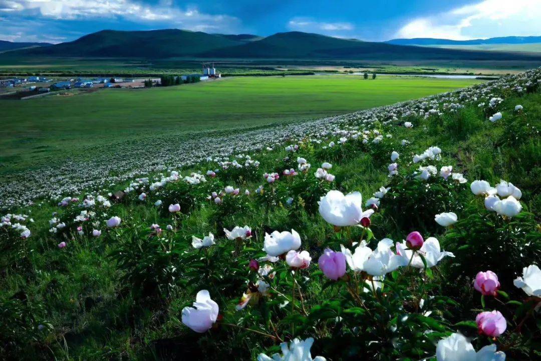 筑牢绿色屏障建设生态林都 牙克石市