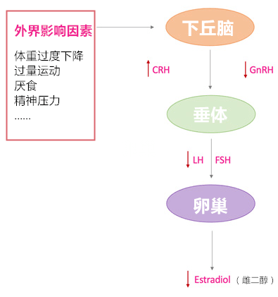551f77e0d47d45dc8fac10f3316e237f.png