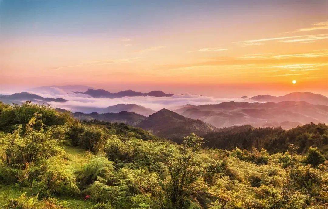 郴州丨绿色的夏天清新又有活力,大草原和满山的绿树你爱了吗?_风景