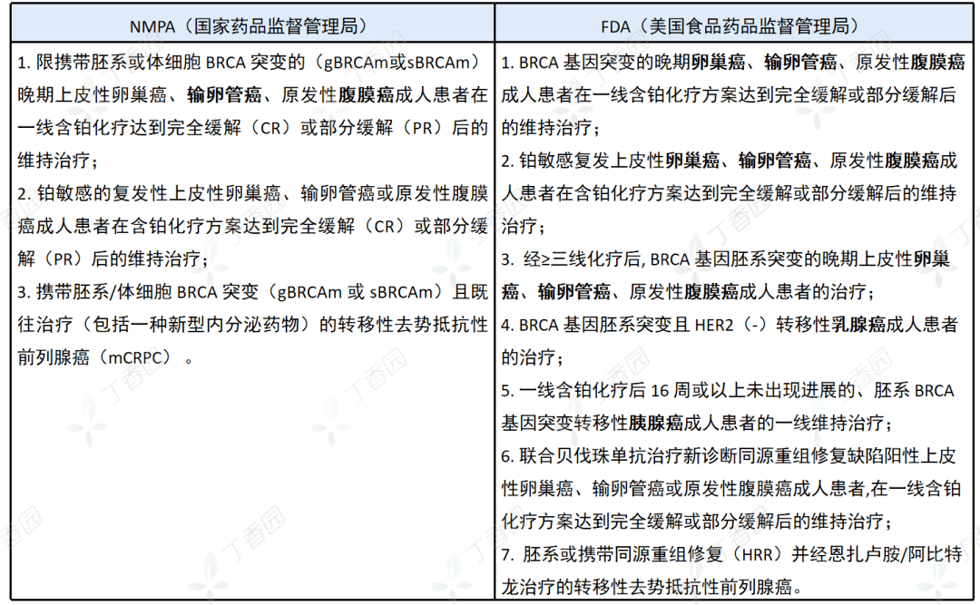 适应症:中国 vs 美国若两者同时障碍,则可能促进细胞的凋亡,这即是