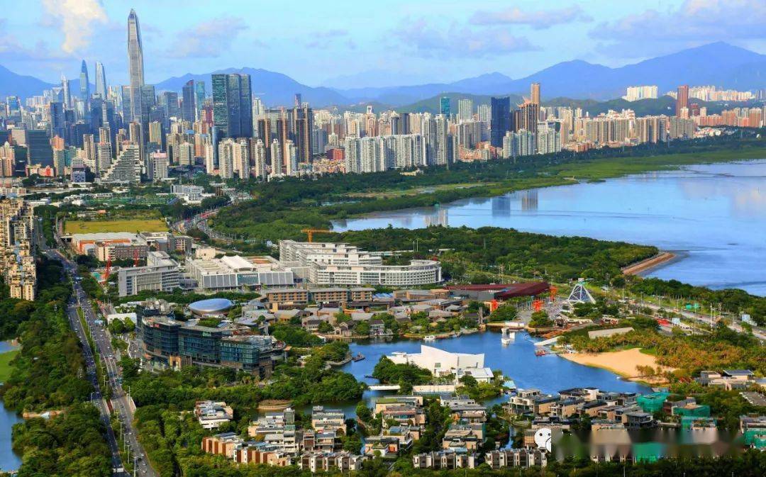 深圳市民俗摄影学会组织会员拍摄粤港澳大湾区繁荣景色二